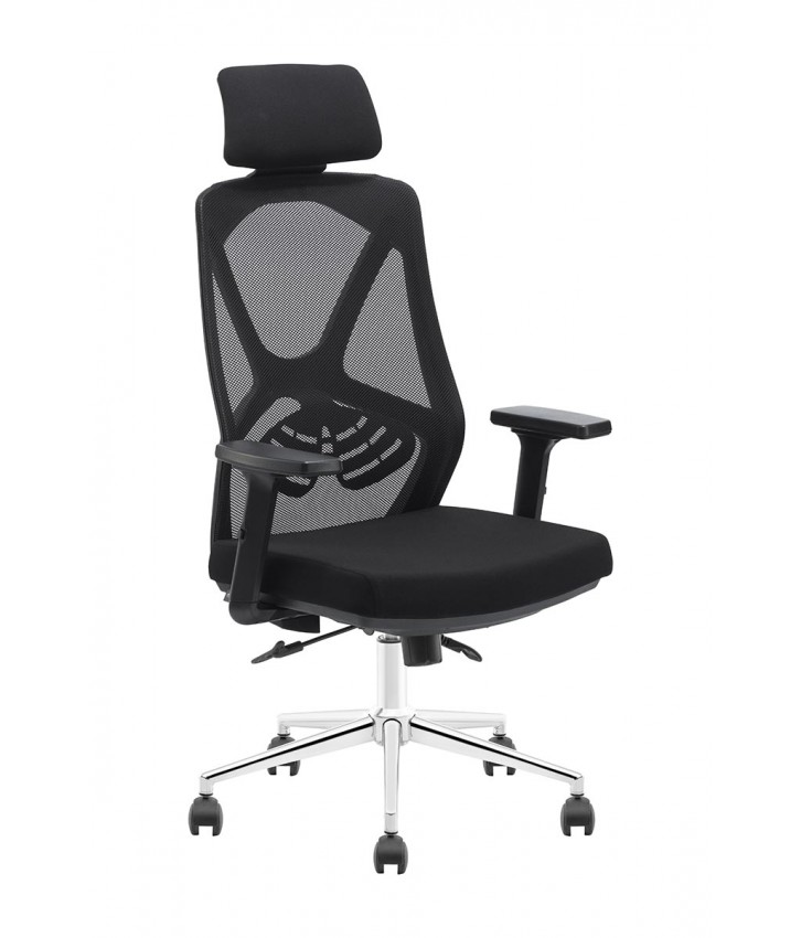 BETA FİLELİ YÖNETİCİ KOLTUĞU