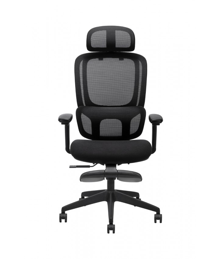 SMART FİLELİ YÖNETİCİ KOLTUĞU