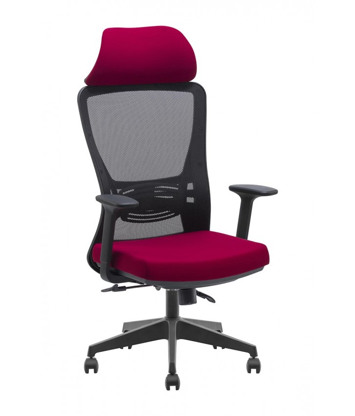 NOVA FİLELİ YÖNETİCİ KOLTUĞU